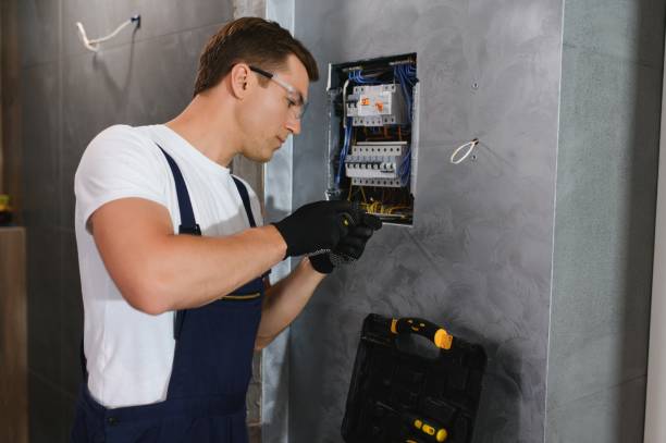 Best Best Electricians Near Me  in Palmyra, WI