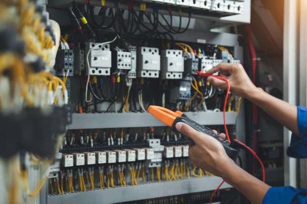 Best Electric Panel Repair  in Palmyra, WI