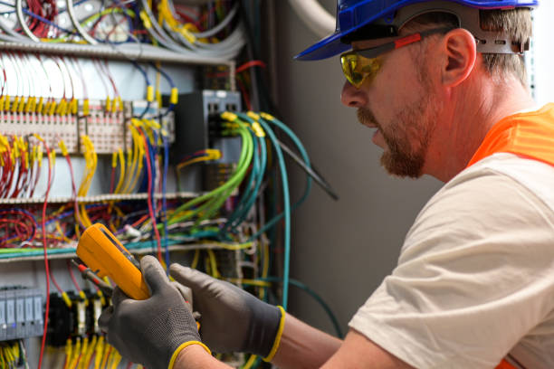Best Affordable Electrician  in Palmyra, WI