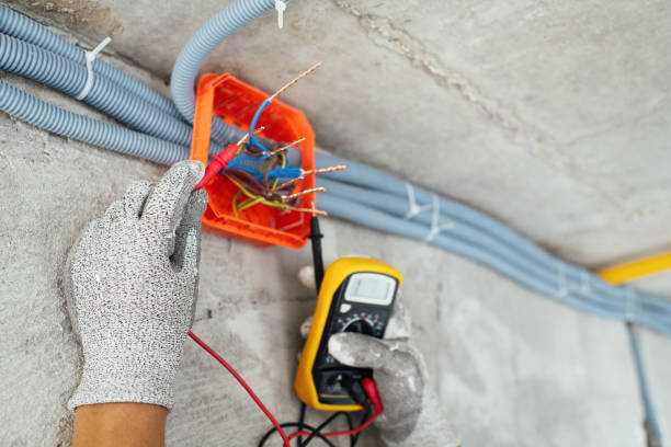 Best Ceiling Fan Installation Electrician  in Palmyra, WI
