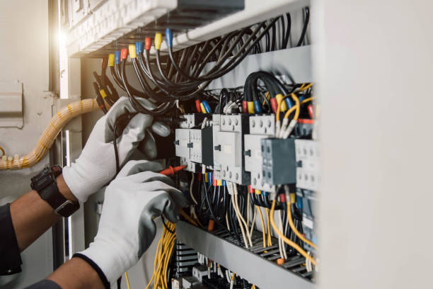 Best Home Electrical Repair  in Palmyra, WI